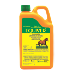 EQUIVER SUSPENSION