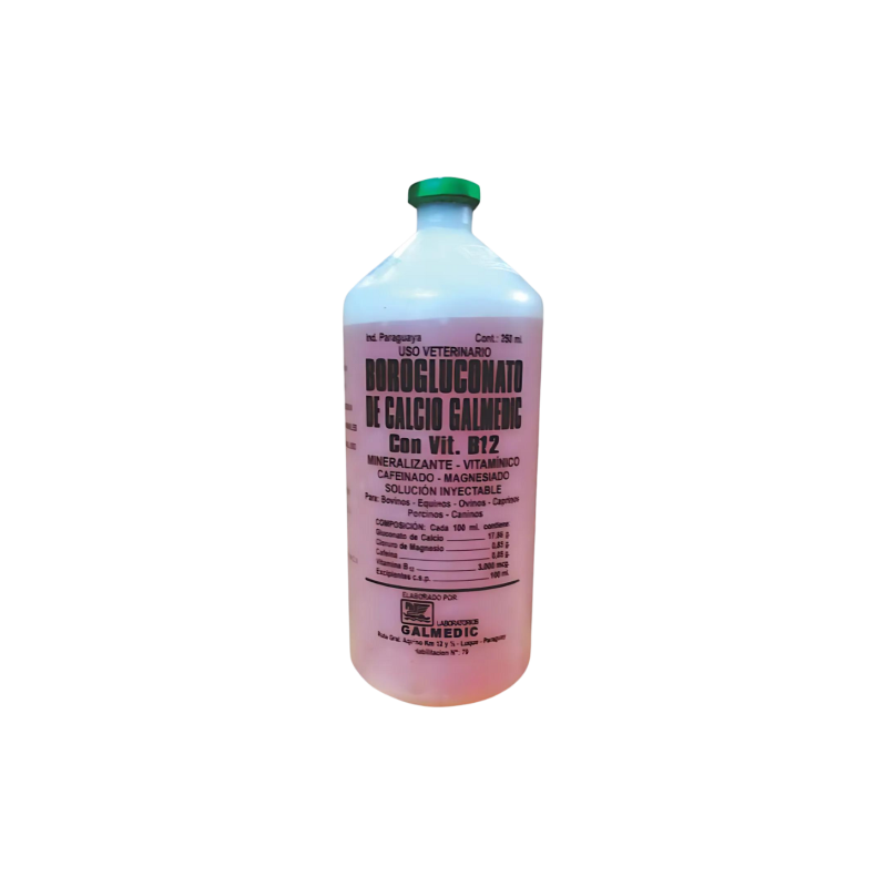 BOROGLUCONATO DE CALCIO GALMEDIC CON VIT B12