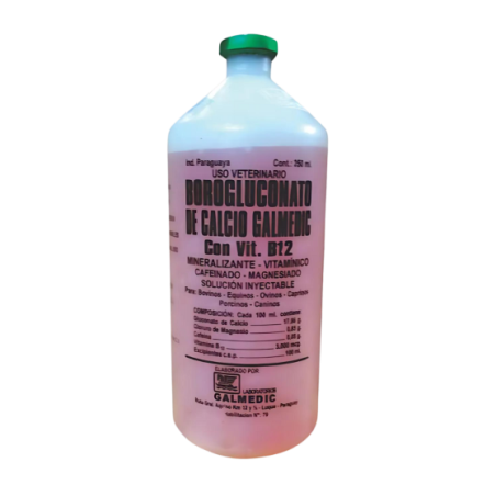 BOROGLUCONATO DE CALCIO GALMEDIC CON VIT B12