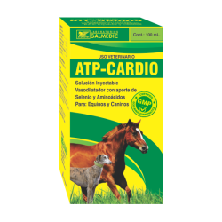 ATP-CARDIO