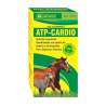 ATP-CARDIO