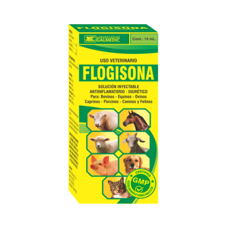 FLOGISONA
