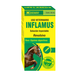 INFLAMUS