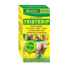 TRISTEDIP