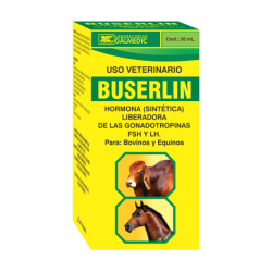 BUSERLIN