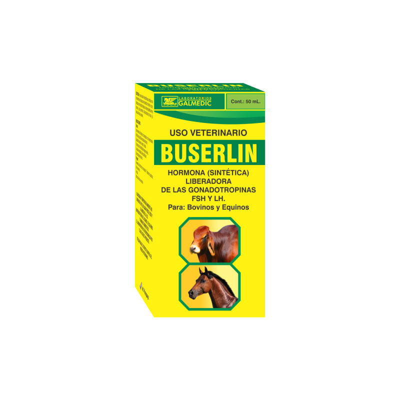 BUSERLIN