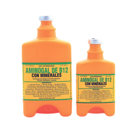 AMINOGAL D-B12