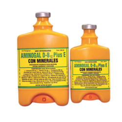 AMINOGAL D-B12 Plus E