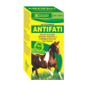 ANTIFATI