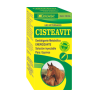 CISTEAVIT