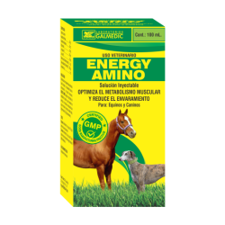 ENERGY AMINO