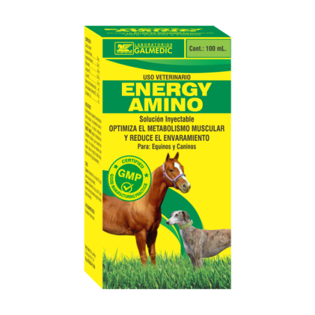 ENERGY AMINO