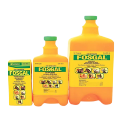 FOSGAL