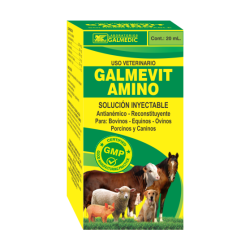 GALMEVIT AMINO
