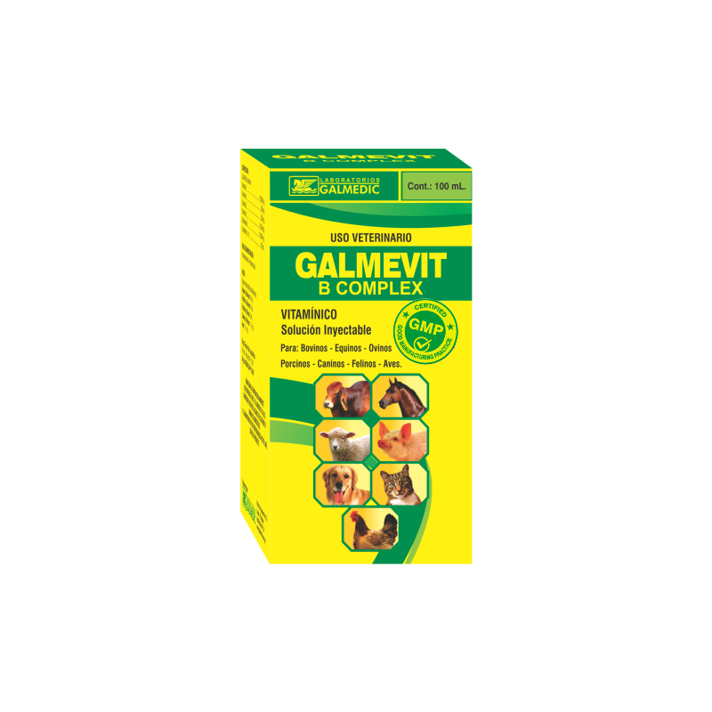 GALMEVIT B COMPLEX