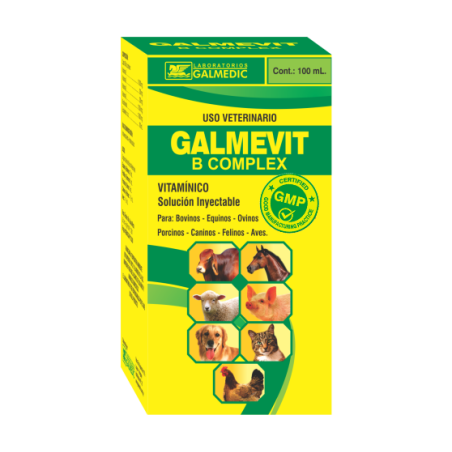 GALMEVIT B COMPLEX