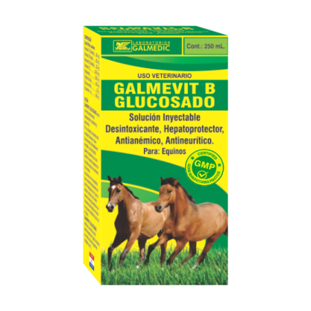 GALMEVIT B GLUCOSADO