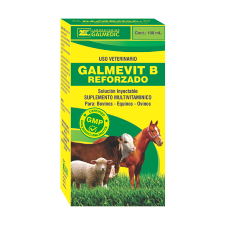 GALMEVIT B REFORZADO