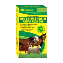 MULTIVITAMIN REFORZADO