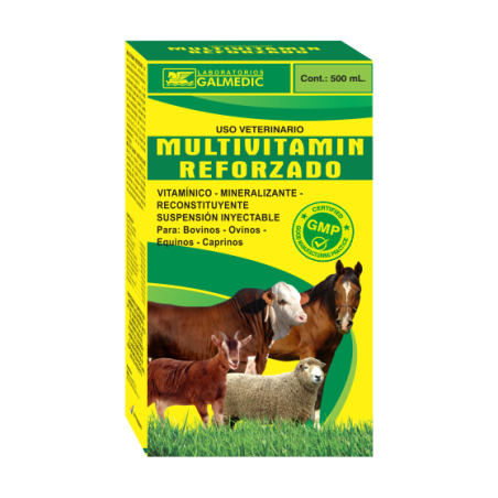 MULTIVITAMIN REFORZADO