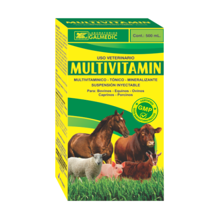 MULTIVITAMIN