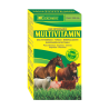 MULTIVITAMIN