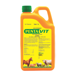 PENTAVIT