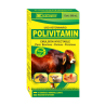 POLIVITAMIN