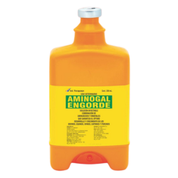 RUMIGAL ENGORDE