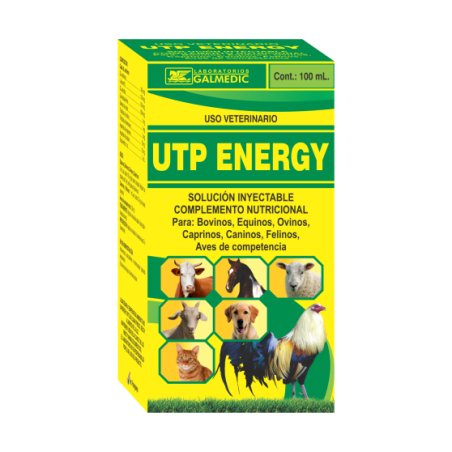 UTP ENERGY