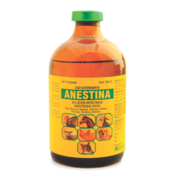 ANESTINA
