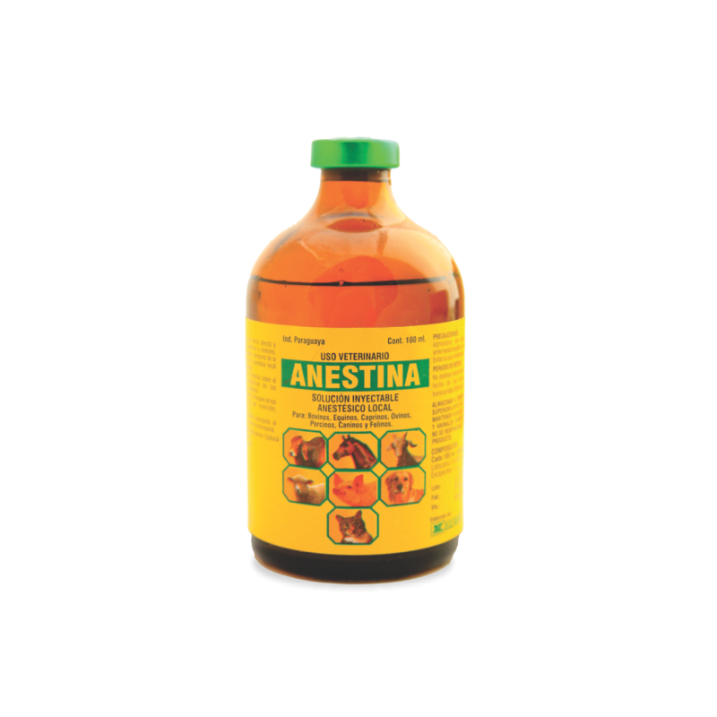 ANESTINA
